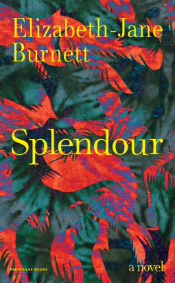 book cover for Splendour