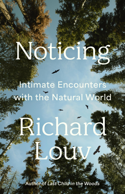 book cover for Noticing