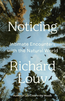 book cover for Noticing