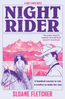 book cover for Night Rider