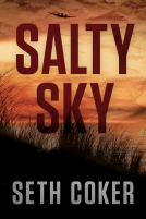 book cover for Salty Sky