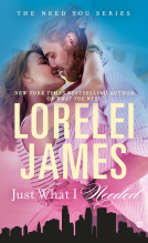 book cover for Just What I Needed