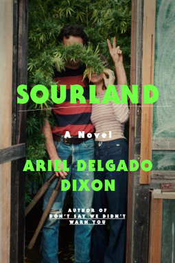 book cover for Sourland