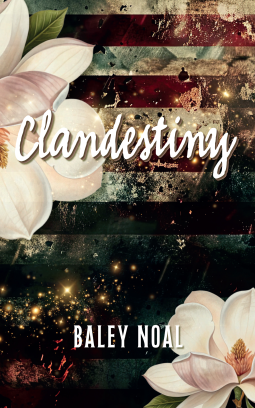 book cover for Clandestiny