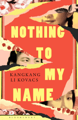 book cover for Nothing to My Name