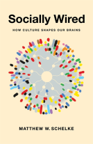 book cover for Socially Wired