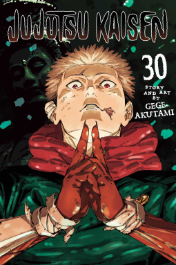 book cover for Jujutsu Kaisen, Vol. 30