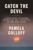 book cover for Catch the Devil