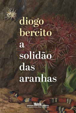 book cover for A solidão das aranhas