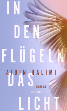 Buchcover für In den Flügeln das Licht
