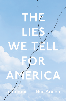 book cover for The Lies We Tell for America