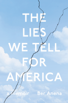 book cover for The Lies We Tell for America