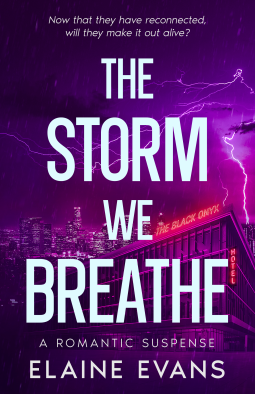 book cover for The Storm We Breathe
