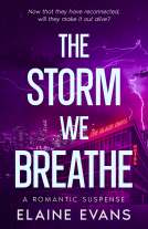 book cover for The Storm We Breathe