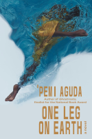 book cover for One Leg on Earth