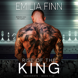 book cover for Rise of the King