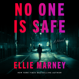 book cover for No One Is Safe