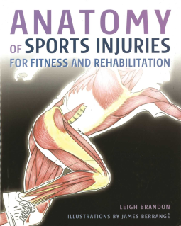 book cover for Anatomy of Sports Injuries