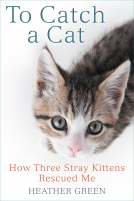 book cover for To Catch a Cat