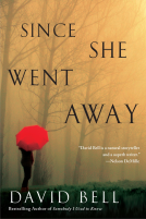 book cover for Since She Went Away
