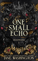 book cover for One Small Echo