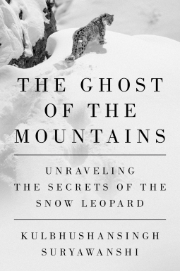 book cover for The Ghost of the Mountains