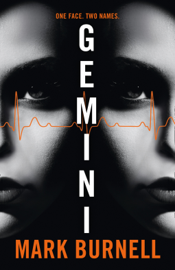 book cover for Gemini