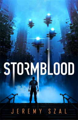 book cover for Stormblood