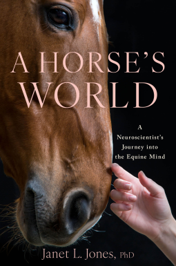 book cover for A Horse's World