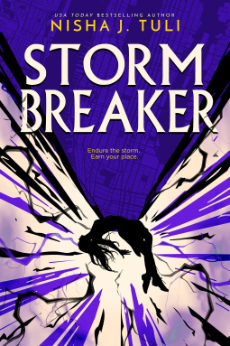 book cover for Storm Breaker