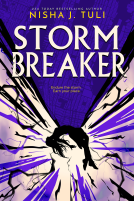 book cover for Storm Breaker