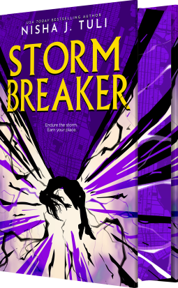 book cover for Storm Breaker