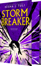 book cover for Storm Breaker