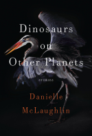 book cover for Dinosaurs on Other Planets
