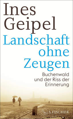Buchcover für Landschaft ohne Zeugen