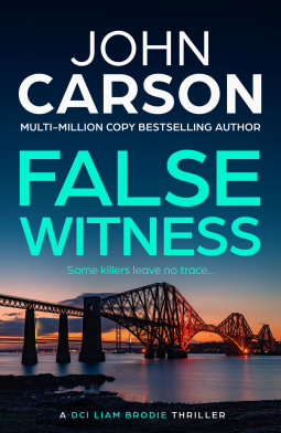 book cover for False Witness