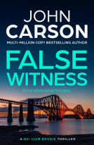book cover for False Witness
