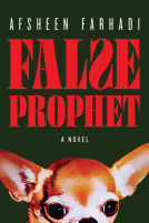 book cover for False Prophet