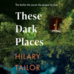 book cover for These Dark Places