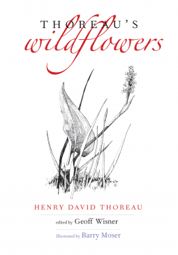 book cover for Thoreau's Wildflowers