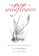 book cover for Thoreau's Wildflowers