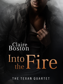 book cover for Into the Fire