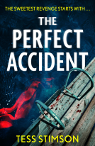book cover for The Perfect Accident