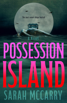 book cover for Possession Island