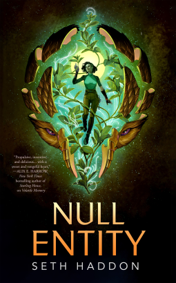 book cover for Null Entity