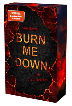 Buchcover für burn me down