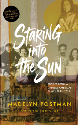 book cover for Staring into the Sun