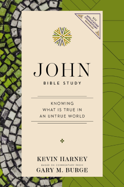 book cover for John Bible Study