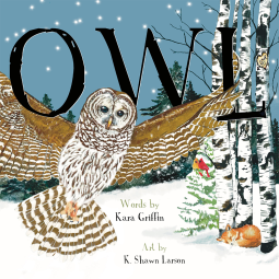 book cover for Owl (pb)