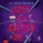 Buchcover für Liars all around me